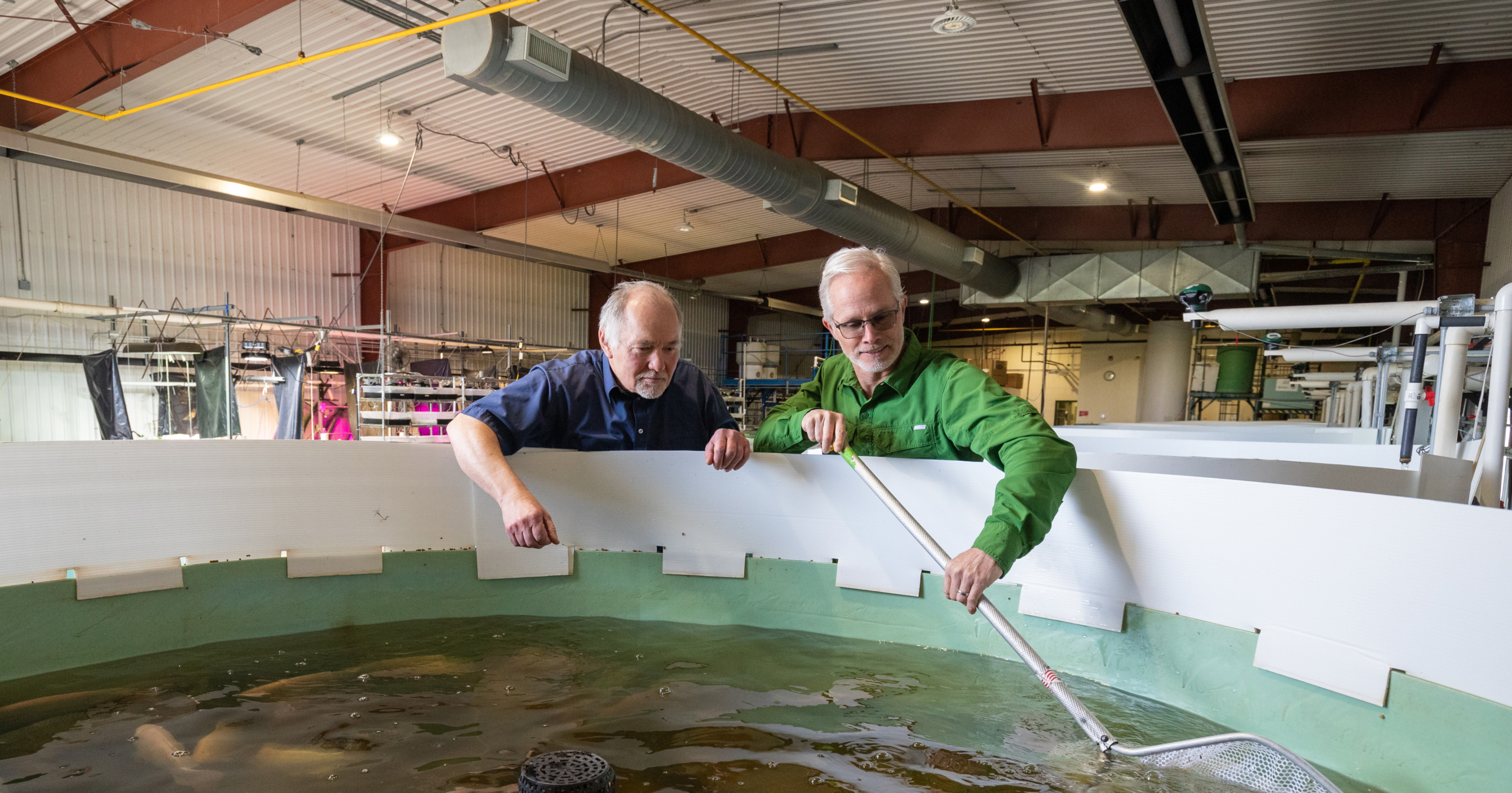 Đại học Bách khoa Lethbridge nghiên cứu thức ăn từ cải dầu trong ngành aquaponics