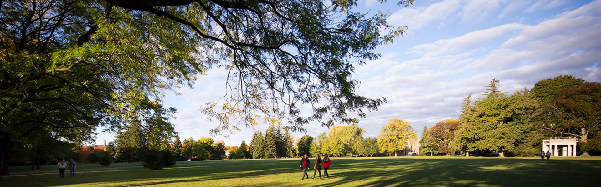 Students walk across Johnston Green on a sunny summer day.